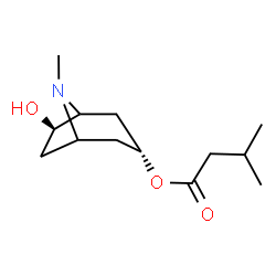 ChemSpider 2D Image | Valeroidine | C13H23NO3