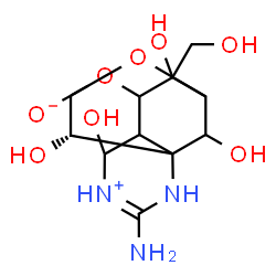ChemSpider 2D Image | (10S)-4,6,10,11-tetrahydroxy-6-(hydroxymethyl)-2-iminiooctahydro-5,9-epoxy-7,10a-methanooxocino[4,5-d]pyrimidin-9(10H)-olate | C11H17N3O8