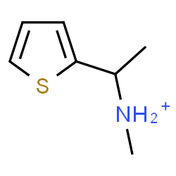 ChemSpider 2D Image | N-Methyl-1-(2-thienyl)ethanaminium | C7H12NS
