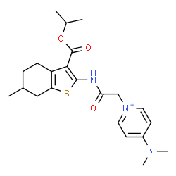 ChemSpider 2D Image | 4-(Dimethylamino)-1-(2-{[3-(isopropoxycarbonyl)-6-methyl-4,5,6,7-tetrahydro-1-benzothiophen-2-yl]amino}-2-oxoethyl)pyridinium | C22H30N3O3S