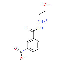 ChemSpider 2D Image | 1-(2-Hydroxyethyl)-2-(3-nitrobenzoyl)hydrazinium | C9H12N3O4