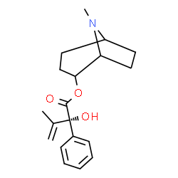 ChemSpider 2D Image | 8-Methyl-8-azabicyclo[3.2.1]oct-2-yl (2S)-2-hydroxy-3-methyl-2-phenyl-3-butenoate | C19H25NO3
