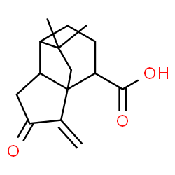 ChemSpider 2D Image | 11,11-Dimethyl-2-methylene-3-oxotricyclo[4.3.2.0~1,5~]undecane-9-carboxylic acid | C15H20O3