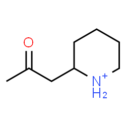 ChemSpider 2D Image | 2-(2-Oxopropyl)piperidinium | C8H16NO