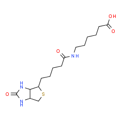 ChemSpider 2D Image | 6-{[5-(2-Oxohexahydro-1H-thieno[3,4-d]imidazol-4-yl)pentanoyl]amino}hexanoic acid | C16H27N3O4S