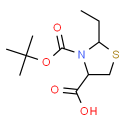 ChemSpider 2D Image | 2-Ethyl-3-{[(2-methyl-2-propanyl)oxy]carbonyl}-1,3-thiazolidine-4-carboxylic acid | C11H19NO4S
