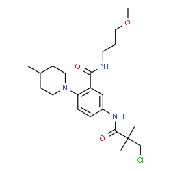 ChemSpider 2D Image | 5-[(3-Chloro-2,2-dimethylpropanoyl)amino]-N-(3-methoxypropyl)-2-(4-methyl-1-piperidinyl)benzamide | C22H34ClN3O3
