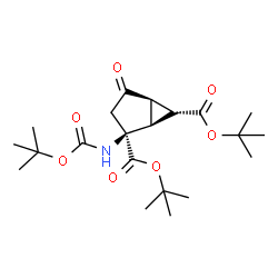 ChemSpider 2D Image | Bis(2-methyl-2-propanyl) (1S,2S,5R,6R)-2-({[(2-methyl-2-propanyl)oxy]carbonyl}amino)-4-oxobicyclo[3.1.0]hexane-2,6-dicarboxylate | C21H33NO7