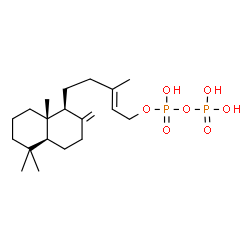 ChemSpider 2D Image | 5alpha,9alpha,10beta-labda-8(20),13-dien-15-yl diphosphate | C20H36O7P2