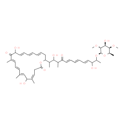 ChemSpider 2D Image | (4E,6E,8E)-13-[(4E,6E,8E,12E,14E,16E,19Z)-10,18-Dihydroxy-12,16,19-trimethyl-11,22-dioxooxacyclodocosa-4,6,8,12,14,16,19-heptaen-2-yl]-3,12-dihydroxy-11-methyl-10-oxo-4,6,8-tetradecatrien-2-yl 6-deoxy
-2,4-di-O-methyl-beta-D-galactopyranoside | C47H66O13