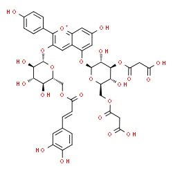 ChemSpider 2D Image | 3-({6-O-[(2E)-3-(3,4-Dihydroxyphenyl)-2-propenoyl]-beta-D-glucopyranosyl}oxy)-7-hydroxy-2-(4-hydroxyphenyl)-5-chromeniumyl 3,6-bis-O-(carboxyacetyl)-beta-D-glucopyranoside | C42H41O24