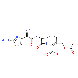 ChemSpider 2D Image | 3-(Acetoxymethyl)-7-{[(2Z)-2-(2-amino-1,3-thiazol-4-yl)-2-(methoxyimino)acetyl]amino}-8-oxo-5-thia-1-azabicyclo[4.2.0]oct-2-ene-2-carboxylate | C16H16N5O7S2