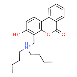 ChemSpider 2D Image | N-Butyl-N-[(3-hydroxy-6-oxo-6H-benzo[c]chromen-4-yl)methyl]-1-butanaminium | C22H28NO3