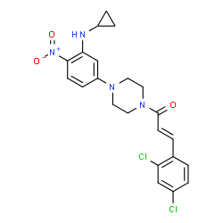 ChemSpider 2D Image | (2E)-1-{4-[3-(Cyclopropylamino)-4-nitrophenyl]-1-piperazinyl}-3-(2,4-dichlorophenyl)-2-propen-1-one | C22H22Cl2N4O3