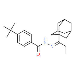 ChemSpider 2D Image | N'-[(1Z)-1-(Adamantan-1-yl)propylidene]-4-tert-butylbenzohydrazide | C24H34N2O