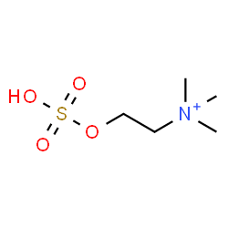 ChemSpider 2D Image | N,N,N-Trimethyl-2-(sulfooxy)ethanaminium | C5H14NO4S