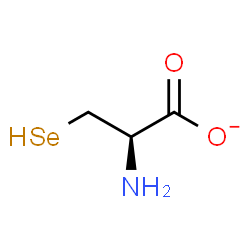 ChemSpider 2D Image | (2R)-2-Amino-3-selanylpropanoate | C3H6NO2Se
