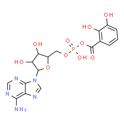 ChemSpider 2D Image | 9-(5-O-{[(2,3-Dihydroxybenzoyl)oxy](hydroxy)phosphoryl}pentofuranosyl)-9H-purin-6-amine | C17H18N5O10P