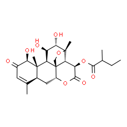 ChemSpider 2D Image | (1beta,11beta,12alpha,13beta,15beta)-1,11,12-Trihydroxy-2,16-dioxo-13,20-epoxypicras-3-en-15-yl 2-methylbutanoate | C25H34O9