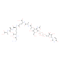 ChemSpider 2D Image | (2R,5R,8S,13R,16S,19R)-19-{[(2R,3R,4R,5S,6R)-3-Acetamido-2-{[{[{[(2R,3S,4R,5R)-5-(2,4-dioxo-3,4-dihydro-1(2H)-pyrimidinyl)-3,4-dihydroxytetrahydro-2-furanyl]methoxy}(hydroxy)phosphoryl]oxy}(hydroxy)ph
osphoryl]oxy}-5-hydroxy-6-(hydroxymethyl)tetrahydro-2H-pyran-4-yl]oxy}-8-{4-[(aminoacetyl)amino]-4-carboxybutyl}-13-carboxy-2,5,16-trimethyl-4,7,10,15,18-pentaoxo-3,6,9,14,17-pentaazaicosan-1-oic acid
 (non-preferred name) | C43H68N10O29P2