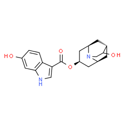 ChemSpider 2D Image | 6'-HYDROXYHYDRODOLASETRON | C19H22N2O4