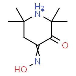 ChemSpider 2D Image | 4-(Hydroxyimino)-2,2,6,6-tetramethyl-3-oxopiperidinium | C9H17N2O2