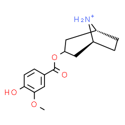 ChemSpider 2D Image | (1R,5S)-3-[(4-Hydroxy-3-methoxybenzoyl)oxy]-8-azoniabicyclo[3.2.1]octane | C15H20NO4