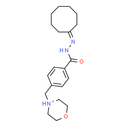 ChemSpider 2D Image | 4-{4-[(2-Cyclooctylidenehydrazino)carbonyl]benzyl}morpholin-4-ium | C20H30N3O2