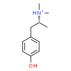 ChemSpider 2D Image | (2R)-1-(4-Hydroxyphenyl)-N,N-dimethyl-2-propanaminium | C11H18NO