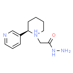 ChemSpider 2D Image | (2R)-1-(2-Hydrazino-2-oxoethyl)-2-(3-pyridinyl)piperidinium | C12H19N4O