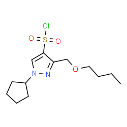 ChemSpider 2D Image | 3-(Butoxymethyl)-1-cyclopentyl-1H-pyrazole-4-sulfonyl chloride | C13H21ClN2O3S