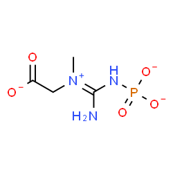 ChemSpider 2D Image | {[(E)-Amino(phosphonatoamino)methylene](methyl)ammonio}acetate | C4H8N3O5P