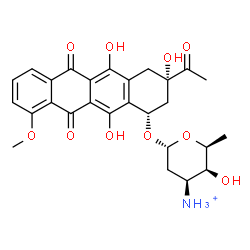 ChemSpider 2D Image | (1S,3S)-3-Acetyl-3,5,12-trihydroxy-10-methoxy-6,11-dioxo-1,2,3,4,6,11-hexahydro-1-tetracenyl 3-ammonio-2,3,6-trideoxy-alpha-L-lyxo-hexopyranoside | C27H30NO10