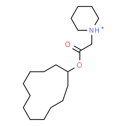 ChemSpider 2D Image | 1-[2-(Cyclododecyloxy)-2-oxoethyl]piperidinium | C19H36NO2