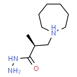 ChemSpider 2D Image | 1-[(2S)-3-Hydrazino-2-methyl-3-oxopropyl]azepanium | C10H22N3O
