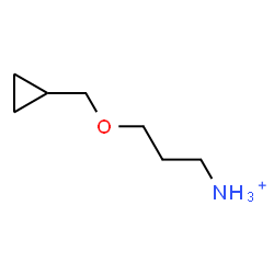 ChemSpider 2D Image | 3-(Cyclopropylmethoxy)-1-propanaminium | C7H16NO