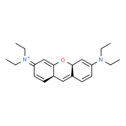 ChemSpider 2D Image | (9aR,10aS)-6-(Diethylamino)-N,N-diethyl-9a,10a-dihydro-3H-xanthen-3-iminium | C21H29N2O