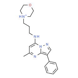 ChemSpider 2D Image | 4-{3-[(5-Methyl-3-phenylpyrazolo[1,5-a]pyrimidin-7-yl)amino]propyl}morpholin-4-ium | C20H26N5O