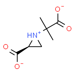 ChemSpider 2D Image | (2S)-1-(2-Carboxylato-2-propanyl)-2-aziridiniumcarboxylate | C7H10NO4