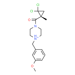ChemSpider 2D Image | 4-{[(1R)-2,2-Dichloro-1-methylcyclopropyl]carbonyl}-1-(3-methoxybenzyl)piperazin-1-ium | C17H23Cl2N2O2