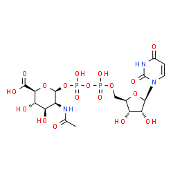 ChemSpider 2D Image | UDP-N-acetyl-beta-D-mannosaminouronic acid | C17H25N3O18P2