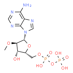ChemSpider 2D Image | 9-{5-O-[Hydroxy(phosphonooxy)phosphoryl]-2-O-methyl-beta-D-xylofuranosyl}-9H-purin-6-amine | C11H17N5O10P2