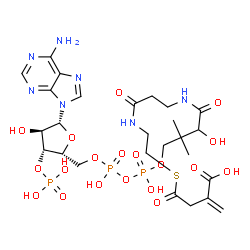 ChemSpider 2D Image | 1-[(2R,3R,4R,5R)-5-(6-Amino-9H-purin-9-yl)-4-hydroxy-3-(phosphonooxy)tetrahydro-2-furanyl]-3,5,9-trihydroxy-8,8-dimethyl-21-methylene-10,14,19-trioxo-2,4,6-trioxa-18-thia-11,15-diaza-3,5-diphosphadoco
san-22-oic acid 3,5-dioxide (non-preferred name) | C26H40N7O19P3S