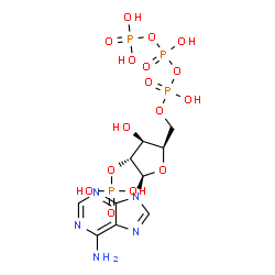 ChemSpider 2D Image | 9-[5-O-(Hydroxy{[hydroxy(phosphonooxy)phosphoryl]oxy}phosphoryl)-2-O-phosphono-beta-D-xylofuranosyl]-9H-purin-6-amine | C10H17N5O16P4