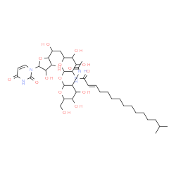 ChemSpider 2D Image | (2E)-N-(2-{[3-Acetamido-4,5-dihydroxy-6-(hydroxymethyl)tetrahydro-2H-pyran-2-yl]oxy}-6-{2-[5-(2,4-dioxo-3,4-dihydro-1(2H)-pyrimidinyl)-3,4-dihydroxytetrahydro-2-furanyl]-2-hydroxyethyl}-4,5-dihydroxyt
etrahydro-2H-pyran-3-yl)-14-methyl-2-pentadecenamide (non-preferred name) | C39H64N4O16