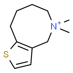 ChemSpider 2D Image | 5,5-Dimethyl-4,5,6,7,8,9-hexahydrothieno[3,2-c]azocin-5-ium | C11H18NS