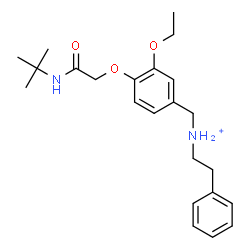 ChemSpider 2D Image | N-(3-Ethoxy-4-{2-[(2-methyl-2-propanyl)amino]-2-oxoethoxy}benzyl)-2-phenylethanaminium | C23H33N2O3