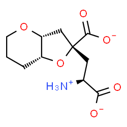 ChemSpider 2D Image | (2R,3aR,7aR)-2-[(2S)-2-Ammonio-2-carboxylatoethyl]hexahydro-2H-furo[3,2-b]pyran-2-carboxylate | C11H16NO6