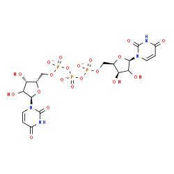 ChemSpider 2D Image | [[(2R,3R,5R)-5-(2,4-dioxopyrimidin-1-yl)-3,4-dihydroxy-tetrahydrofuran-2-yl]methoxy-oxido-phosphoryl] [[(2S,3S,5R)-5-(2,4-dioxopyrimidin-1-yl)-3,4-dihydroxy-tetrahydrofuran-2-yl]methoxy-oxido-phosphoryl] phosphate | C18H22N4O20P3