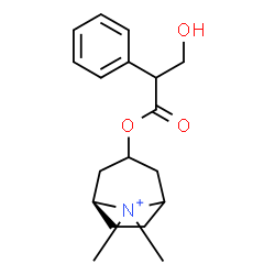 ChemSpider 2D Image | (1S)-3-[(3-Hydroxy-2-phenylpropanoyl)oxy]-8,8-dimethyl-8-azoniabicyclo[3.2.1]octane | C18H26NO3